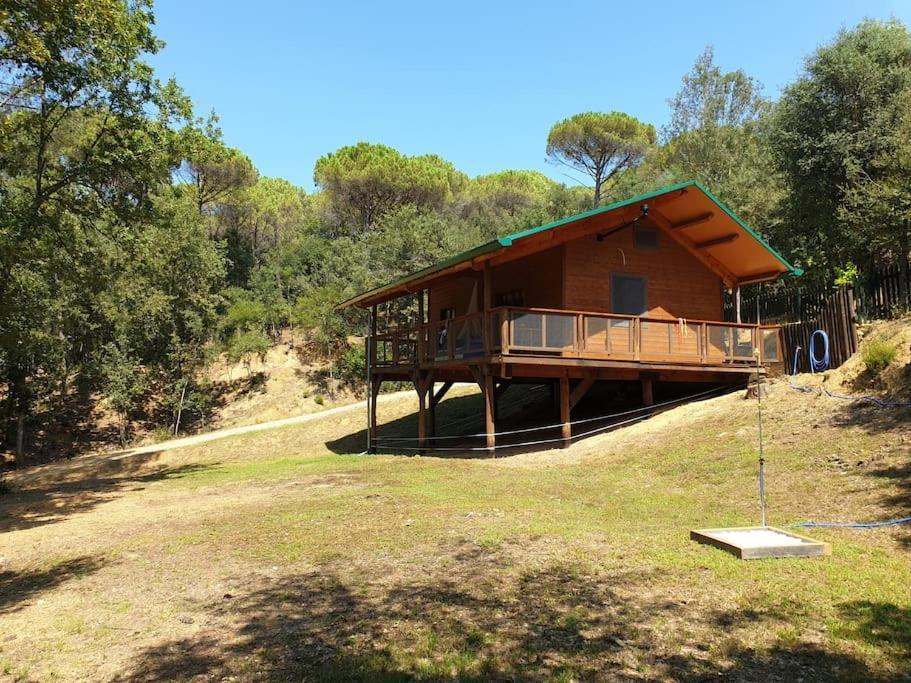 Rustic Cabin In The Woods/Cabana En El Bosque Amer Kültér fotó